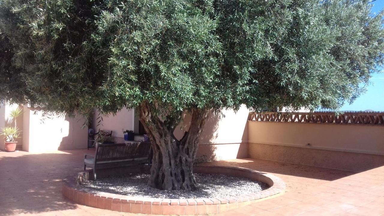San Fulgencio Finca Milagroヴィラ エクステリア 写真