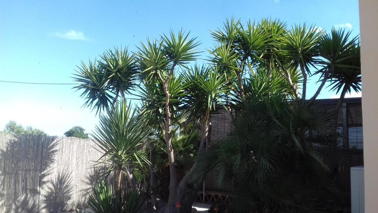 San Fulgencio Finca Milagroヴィラ エクステリア 写真